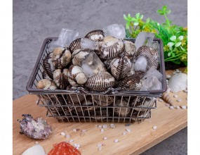 케이탑씨푸드 쇼핑몰