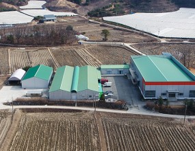 엄마야누나야 콩나물 재배 및 판매 전문회사